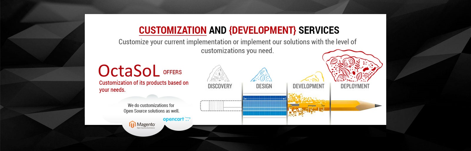 Customization and Development Services